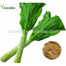 Natural Plant Extract 4:1 10:1 12:1 Lettuce Extract Powder